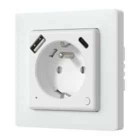 Smart Outlet Avatto WOT20-FR